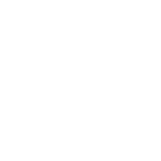 MOBI VOICE